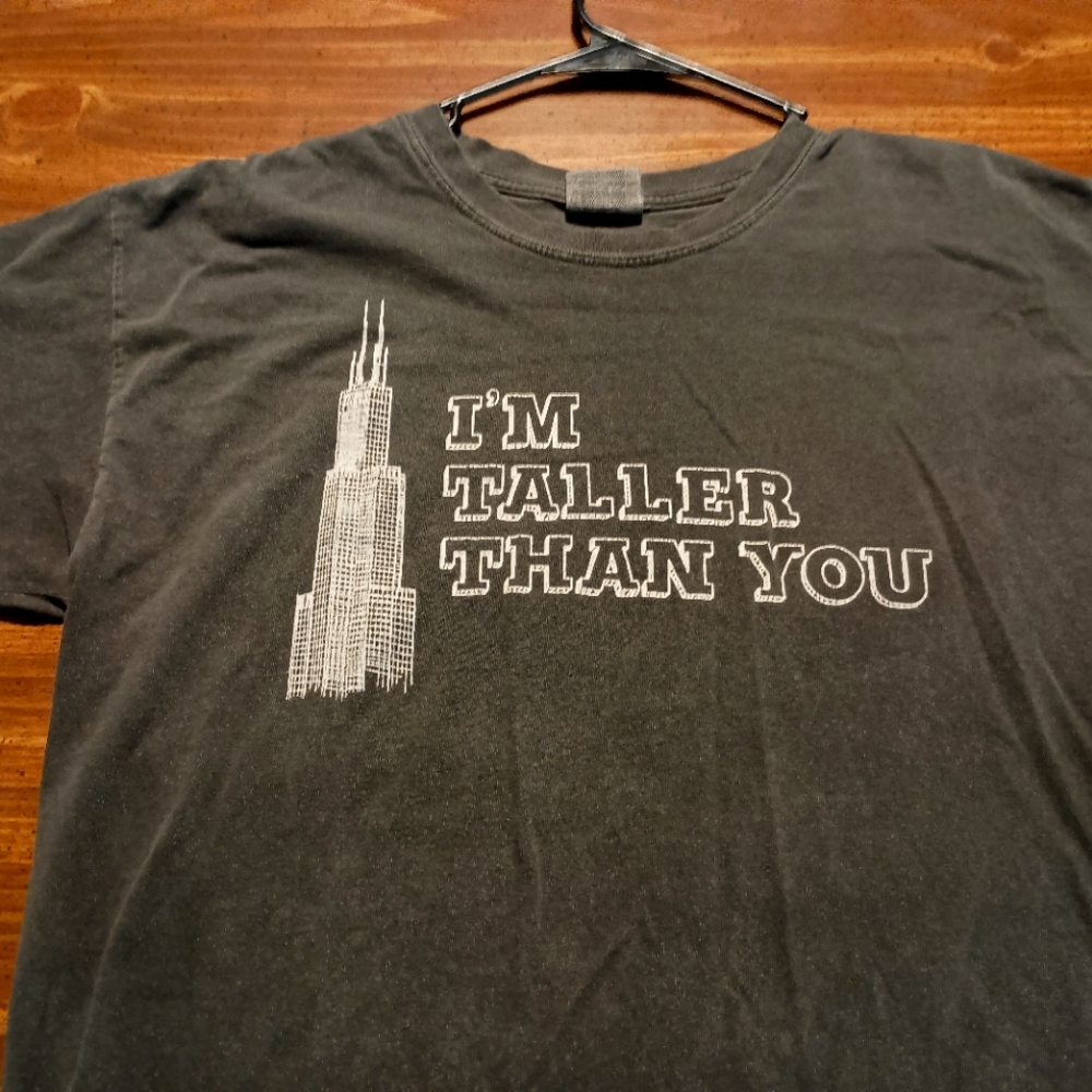 EMPIRE STATE BUILDING FUNNY TEE - Large // NYC Taller Than You T-shirt comedy